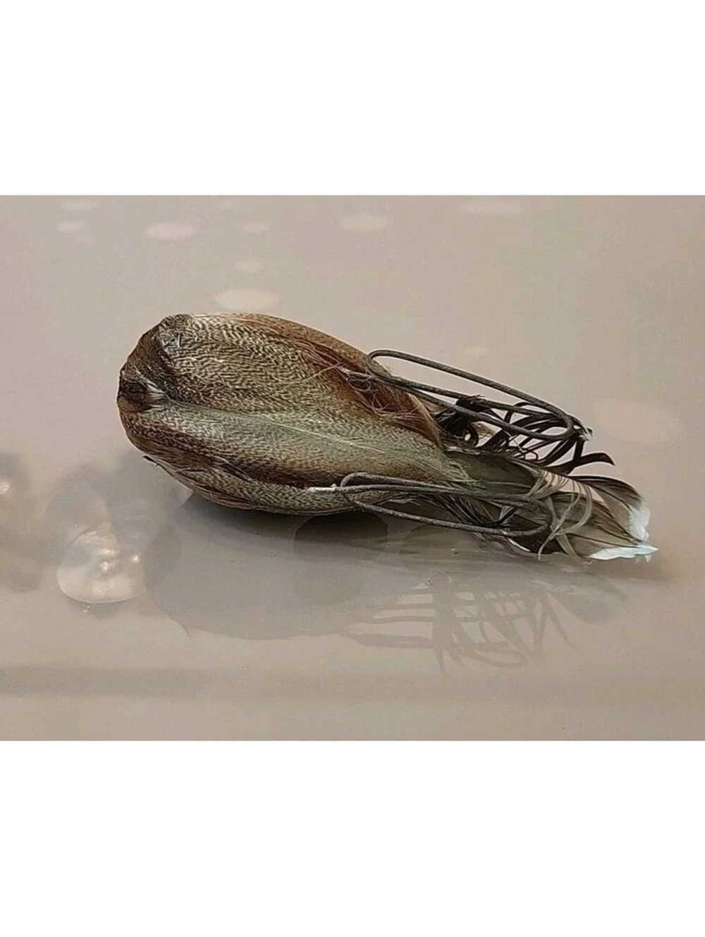 Vtg Christmas Ornament Decoration Excellent Condition Real Feathered Duck